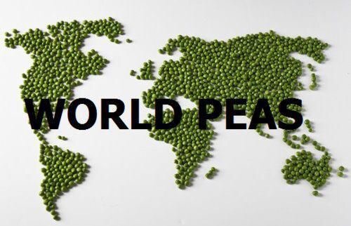 Whirled Peas – Praying for Eyebrowz
