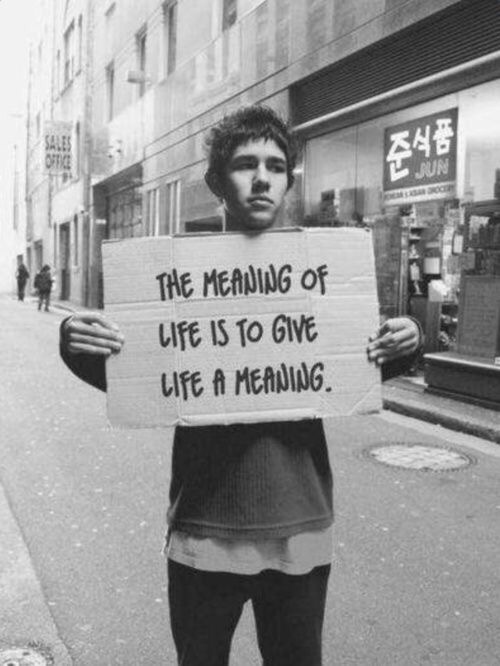 The Meaning of Life